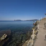 El Faro & אלגהרו